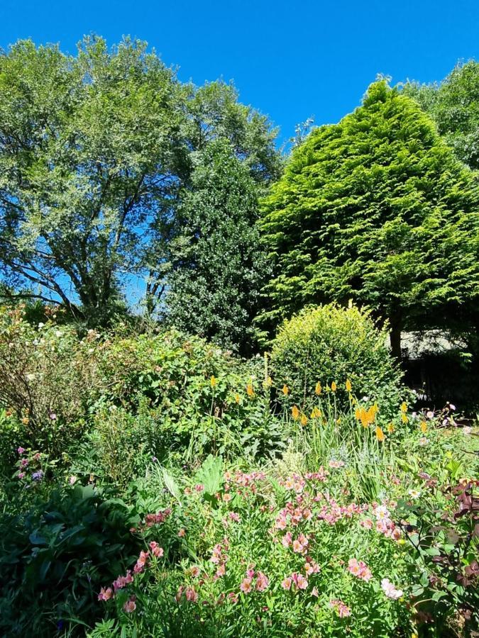 Yellowwood Cottage Himeville Εξωτερικό φωτογραφία